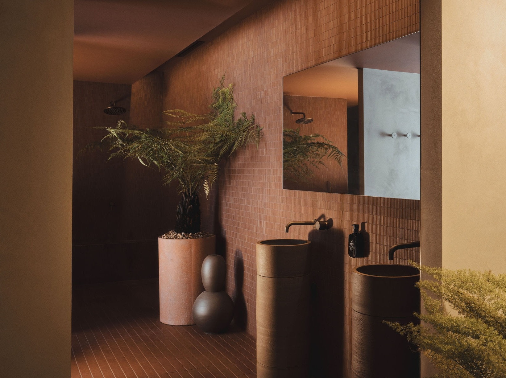 Capybara Bathing, Surry Hills, terracotta-tiled shower room with ferns and brass tapware