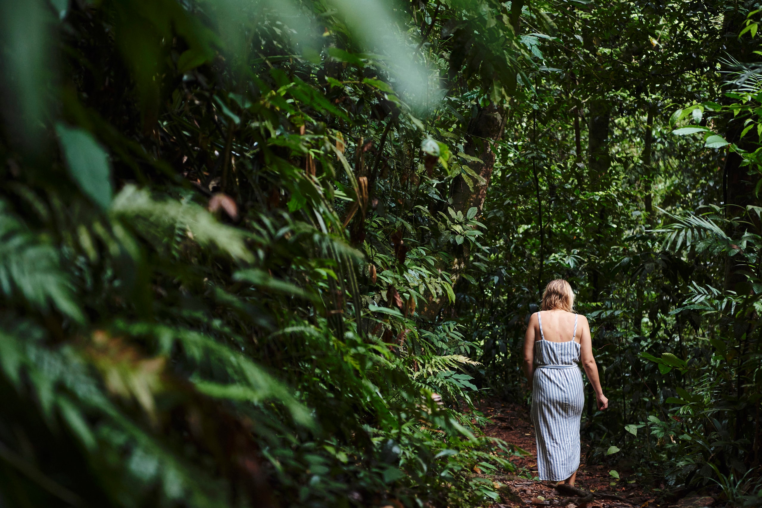 Wellness Spa, Daintree EcoLodge