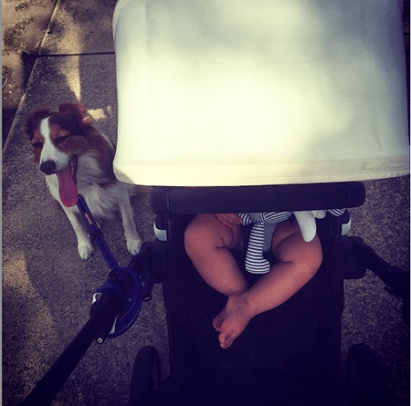  Megan’s pup has an instagram page @the_real_Bosco 