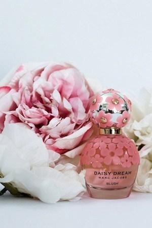 Daisy Dream Blush by Marc Jacobs