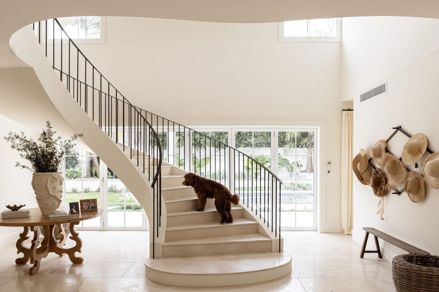 Sweeping curved staircase with black iron balusters and a brown labradoodle standing on the steps, straw hats on the wall