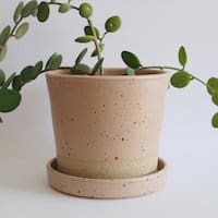 Wingnut and Co Ceramic Planter