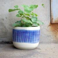 Trade The Mark Pot